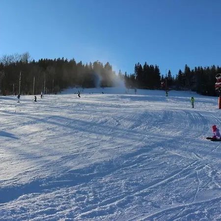 4seasons Z Prywtna Sauna I Kominkiem *