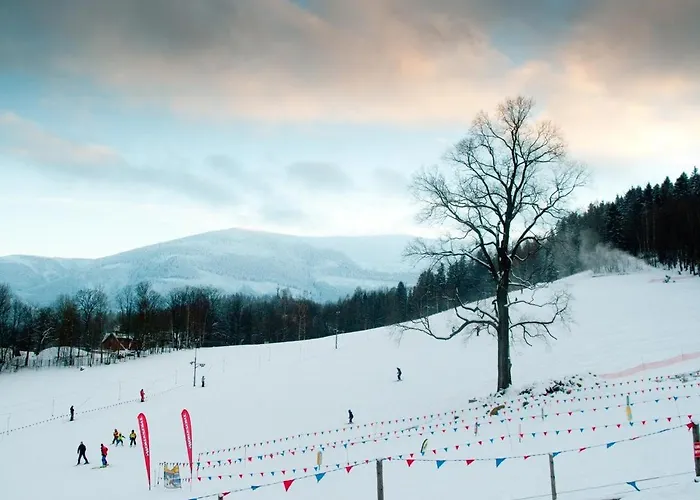 4seasons Z Prywtna Sauna I Kominkiem Apartment Karpacz