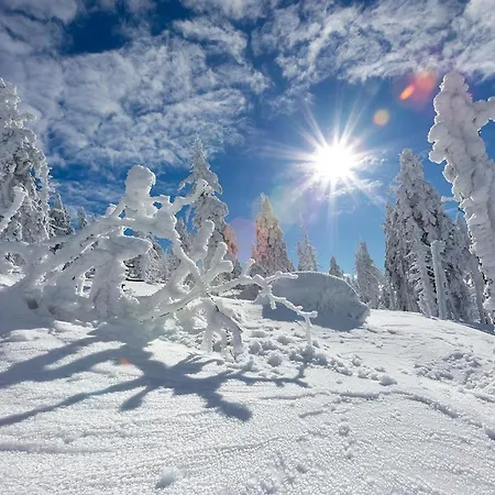 4seasons Z Prywtna Sauna I Kominkiem Karpacz