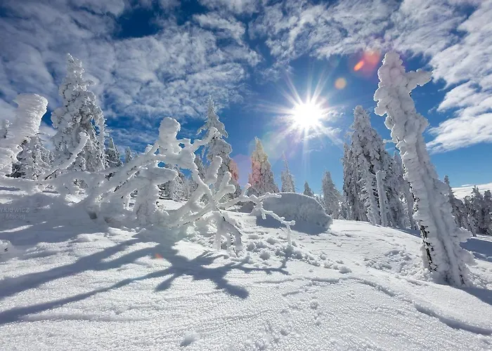 4seasons Z Prywtna Sauna I Kominkiem קרפאז'